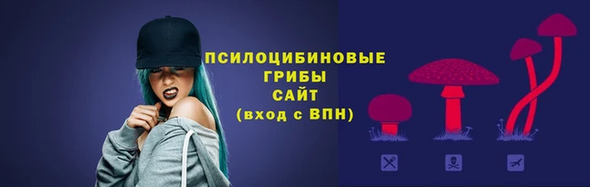 скорость Абинск