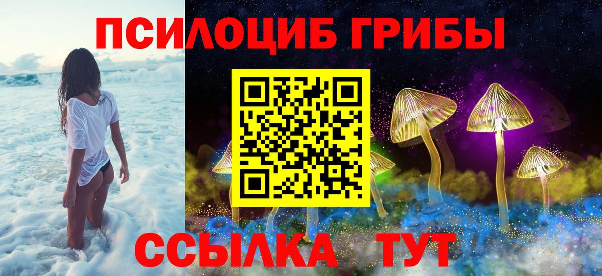 Галлюциногенные грибы прущие грибы  Вход с VPN  Дивногорск 