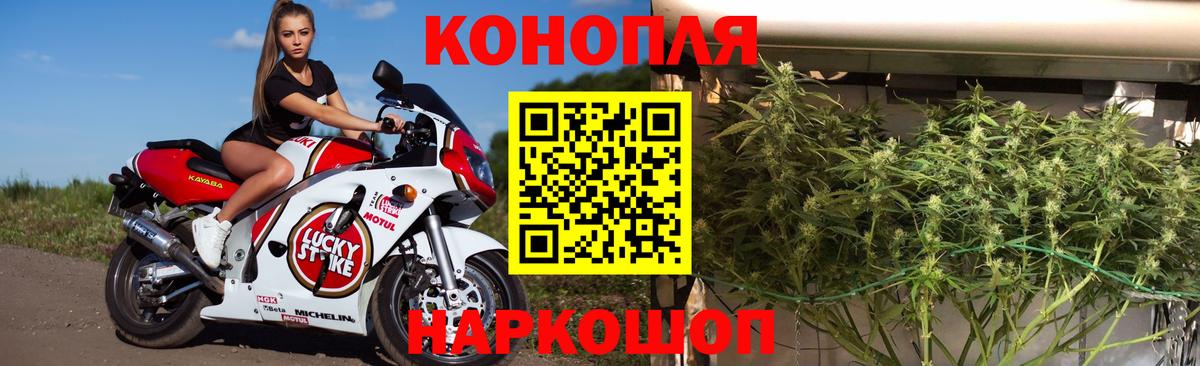 Конопля индика  Конопля индика  Бошки Шишки Ganja  МАРИХУАНА AK-47  Дивногорск  Вход с VPN 